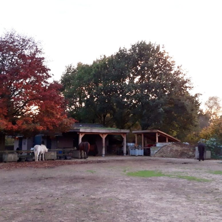 de locatie van paardenwijs