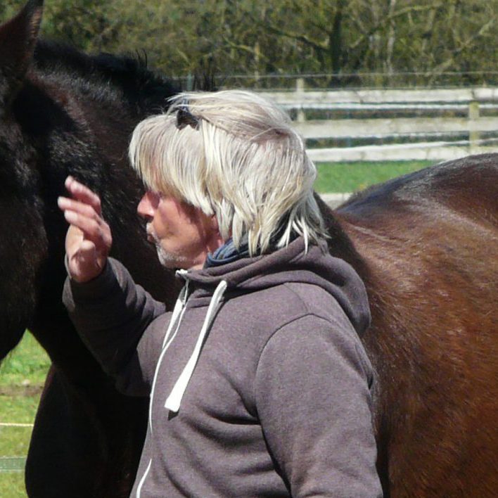 paardencoaching bij paardenwijs