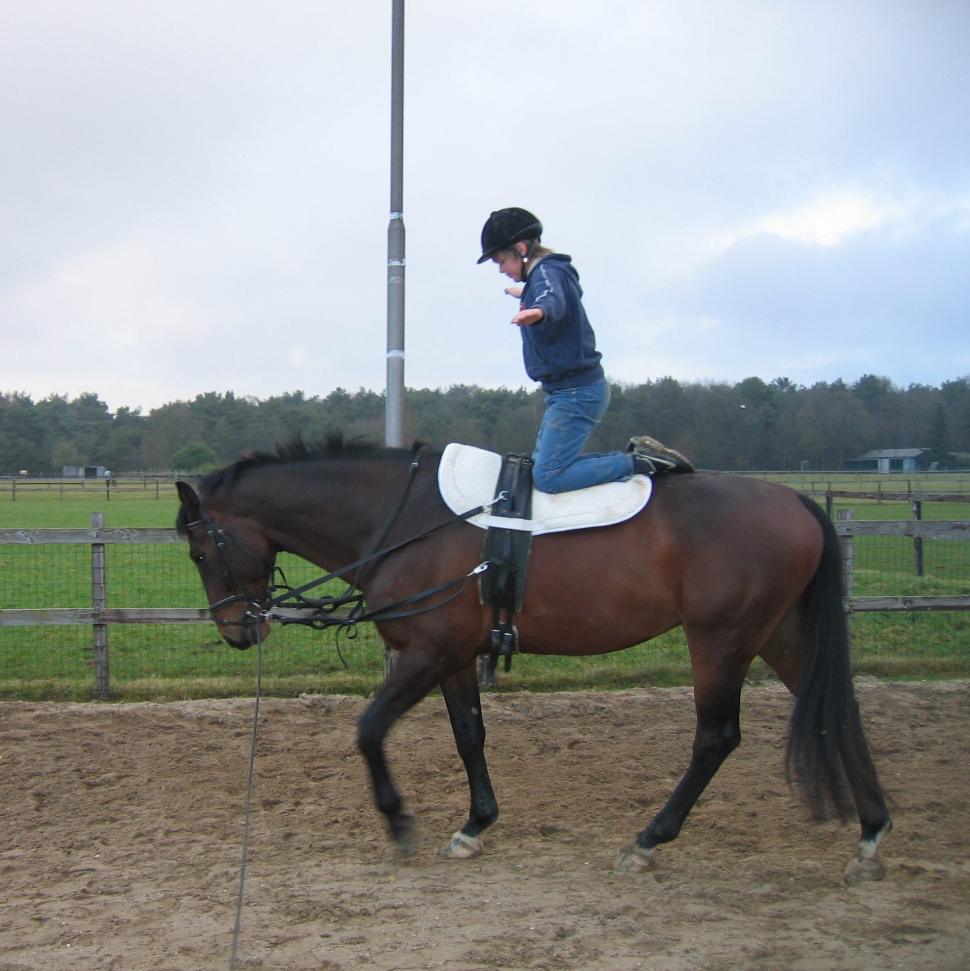 equiterapie therapie met paarden bij paardenwijs